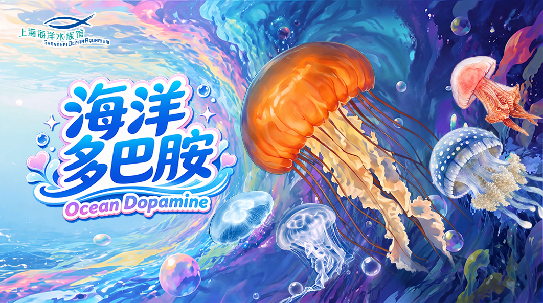 上海海洋水族馆“海洋多巴胺”秋季活动