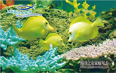 2Adult + 1 Child Annual Membership