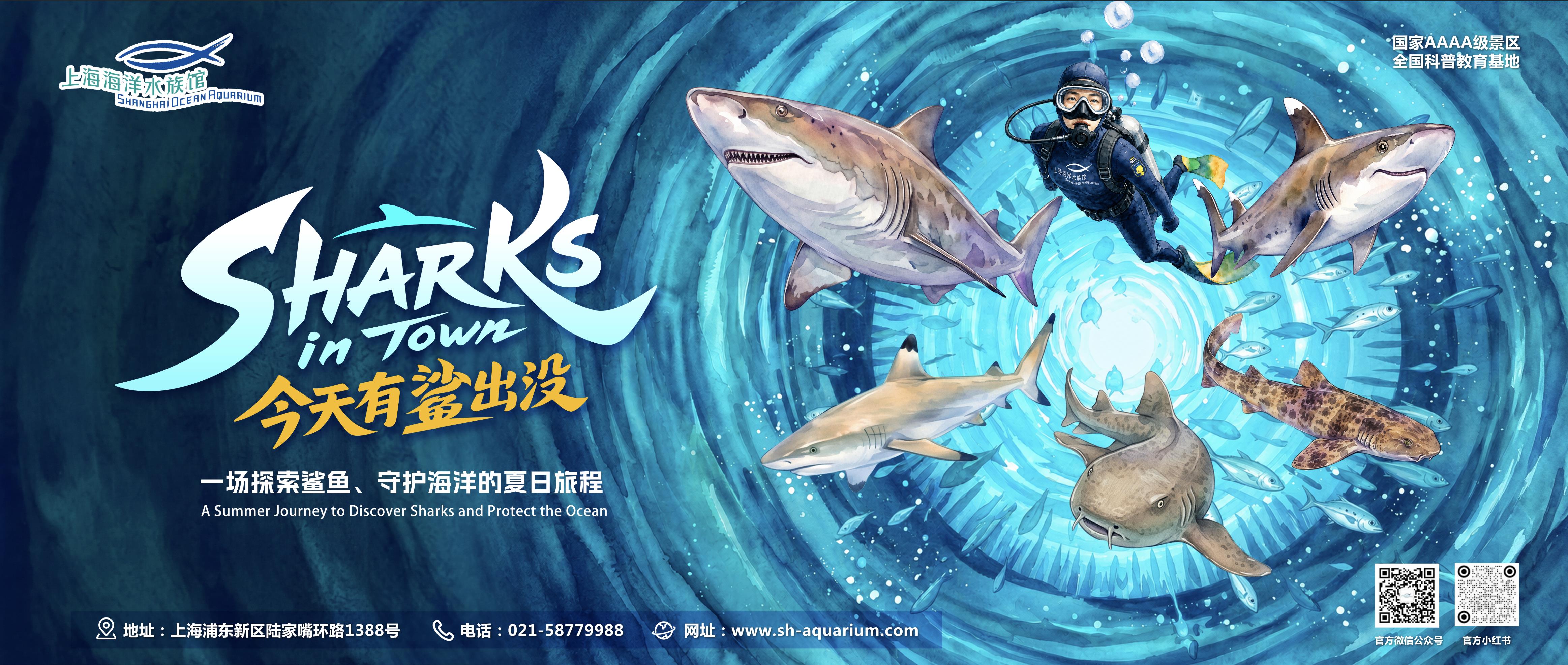 1. 活动海报.png